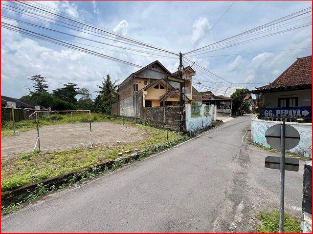 place photo 11