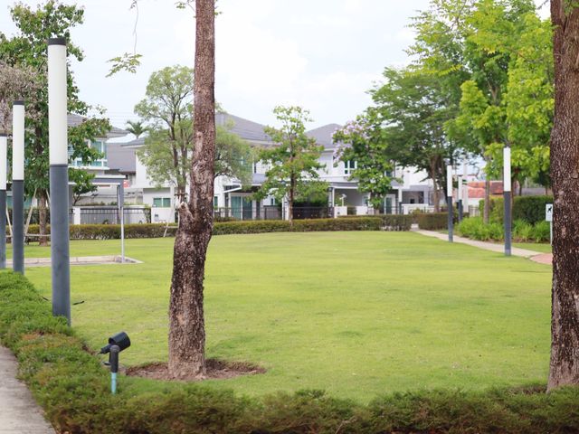 place photo 42
