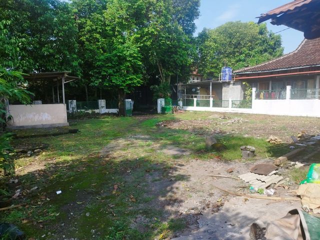 place photo 9
