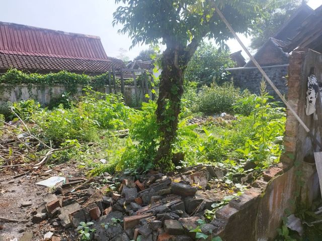 place photo 12