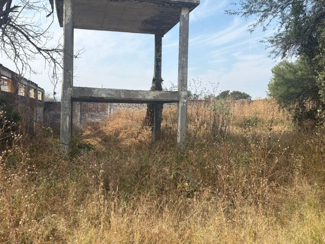 place photo 15
