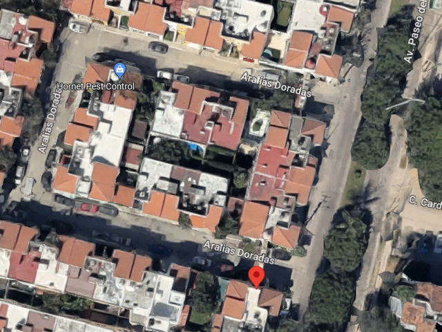 place photo 14