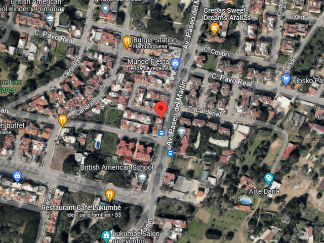 place photo 15