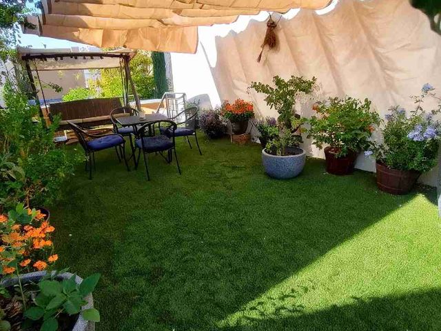 place photo 24