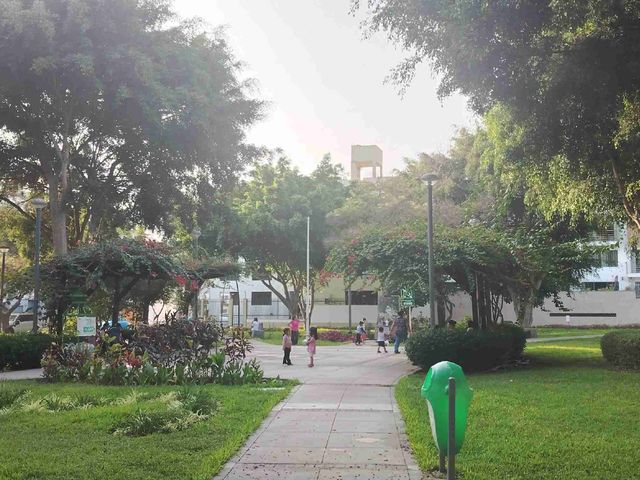 place photo 22