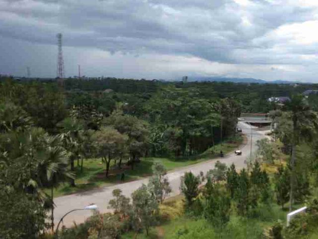 place photo 13