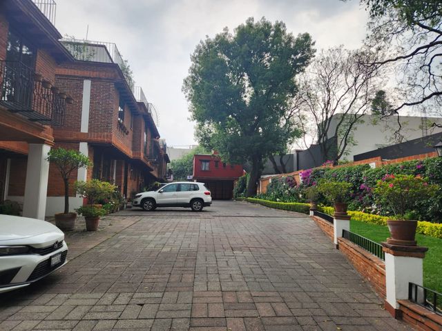 place photo 36