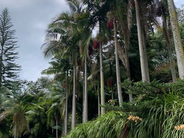 place photo 52