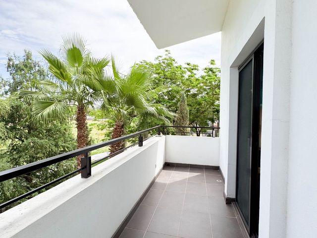 place photo 45