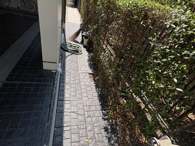 place photo 24