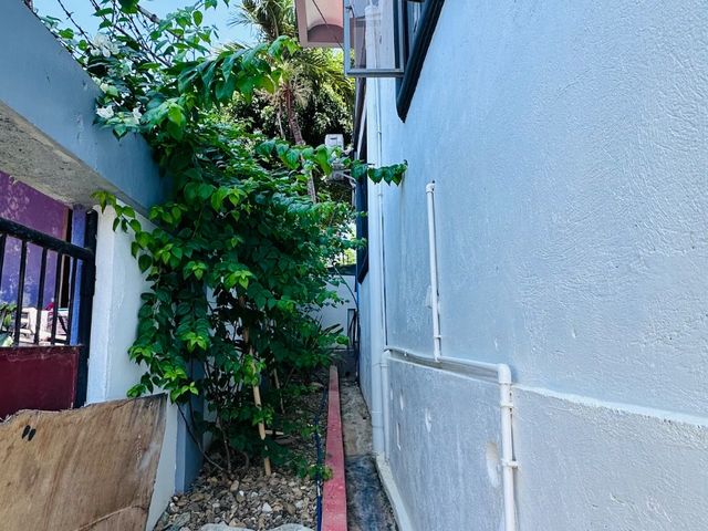 place photo 53