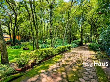place photo 43