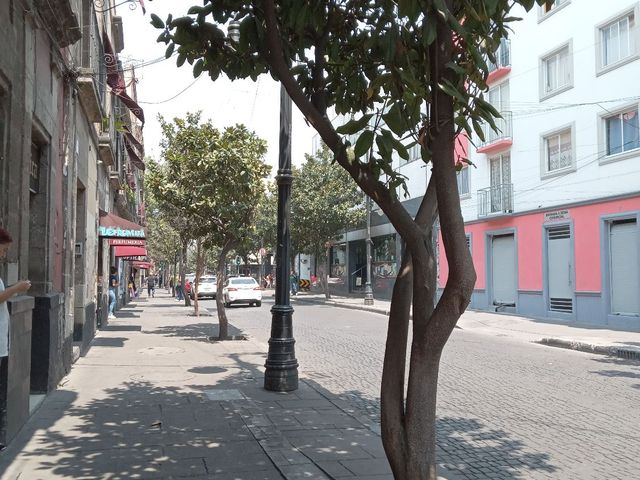 place photo 30