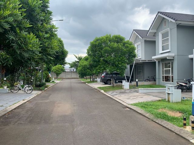 place photo 13