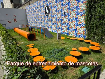 place photo 38