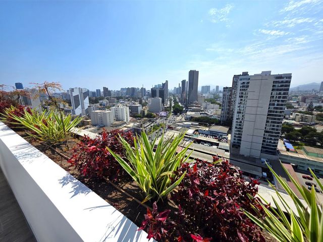 place photo 42