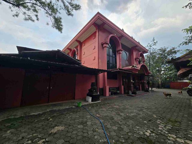 place photo 7