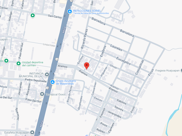 place photo 12