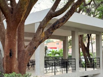 place photo 27