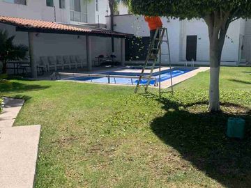 place photo 18