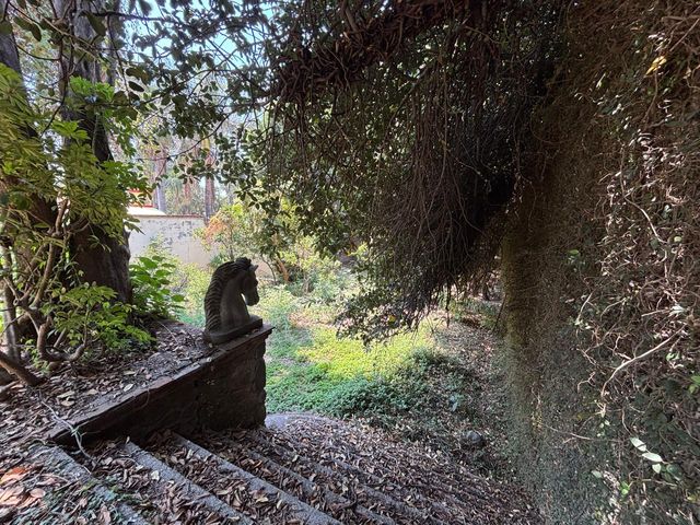 place photo 32