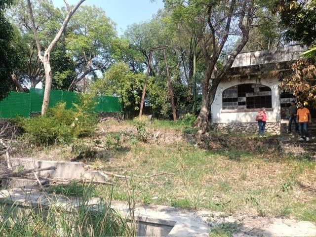 place photo 16