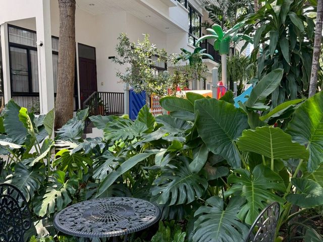 place photo 33