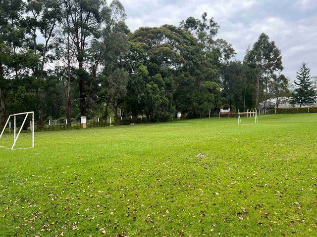 place photo 19