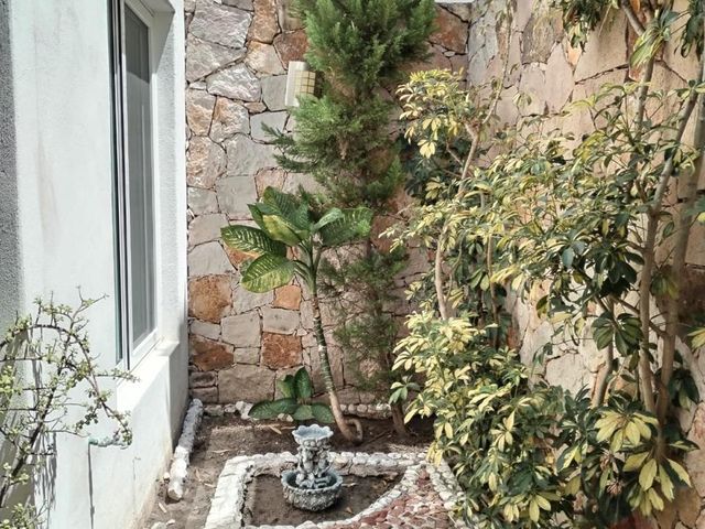 place photo 37