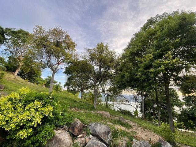 place photo 33