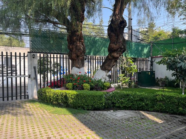 place photo 23