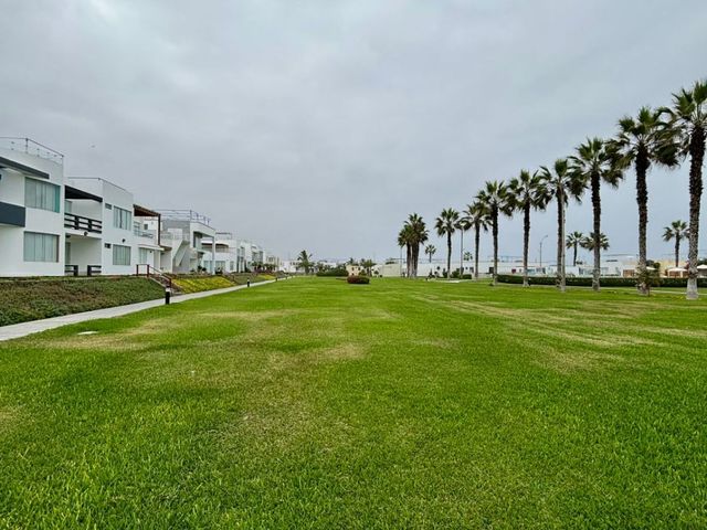 place photo 29