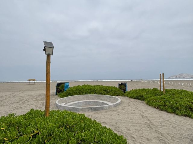 place photo 34