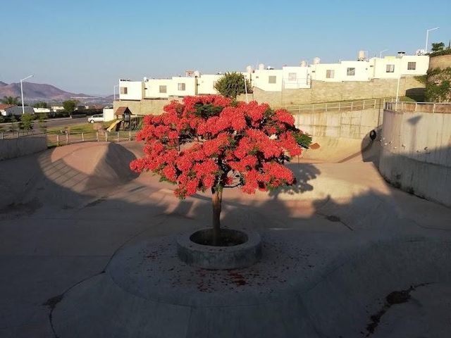 place photo 22