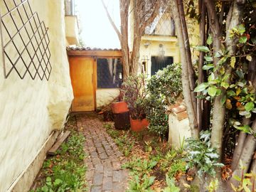 place photo 21