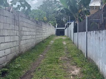 place photo 59