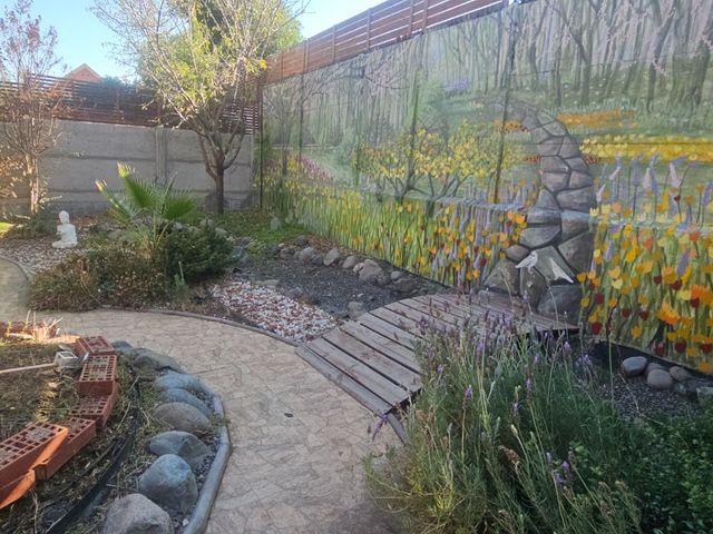 place photo 39