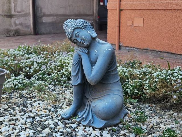 place photo 42