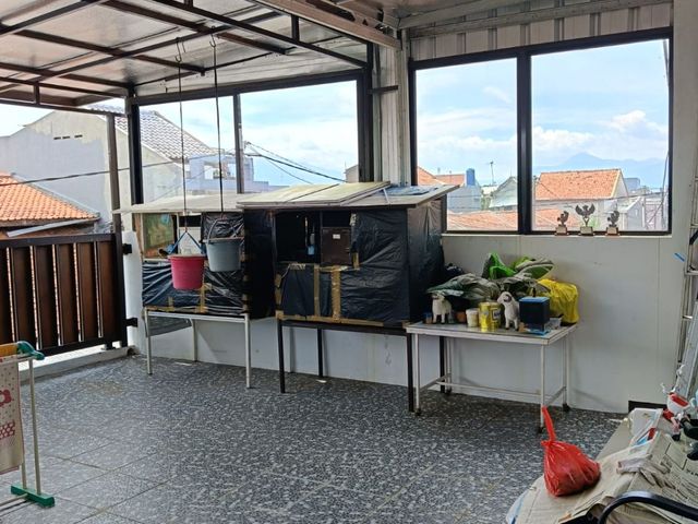 place photo 20