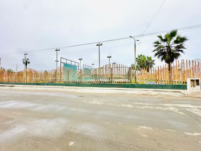 place photo 18