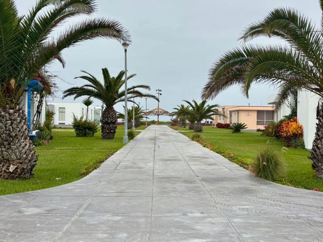 place photo 31