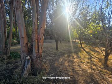 place photo 29