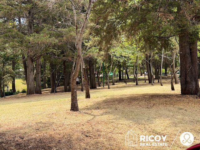 place photo 37