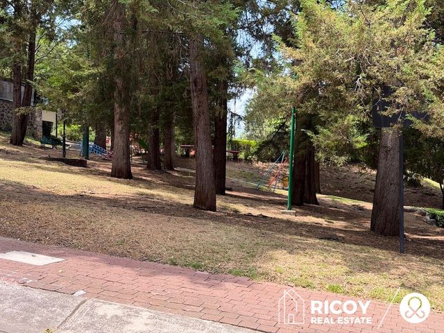 place photo 38