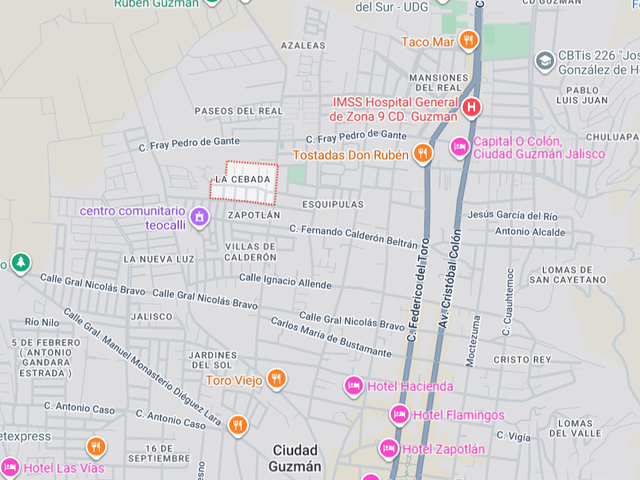 place photo 12