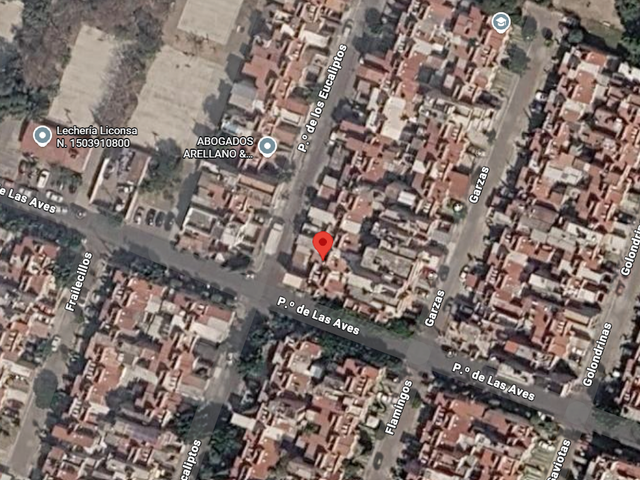 place photo 14