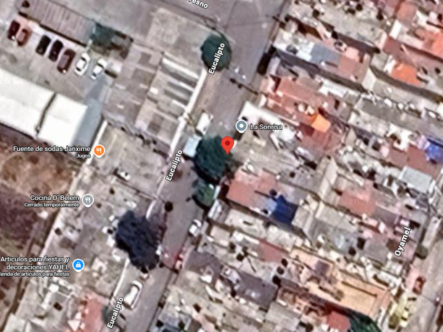 place photo 14