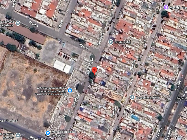 place photo 13