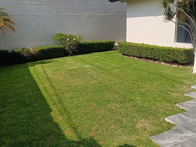 place photo 40