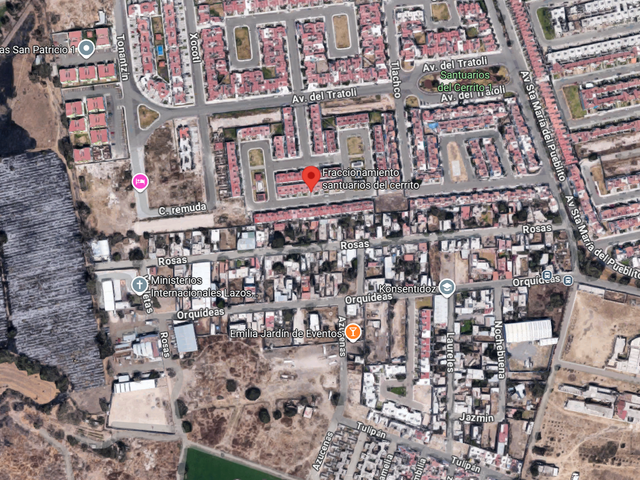 place photo 9